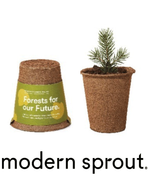 Modern Sprout Corporate Gifts